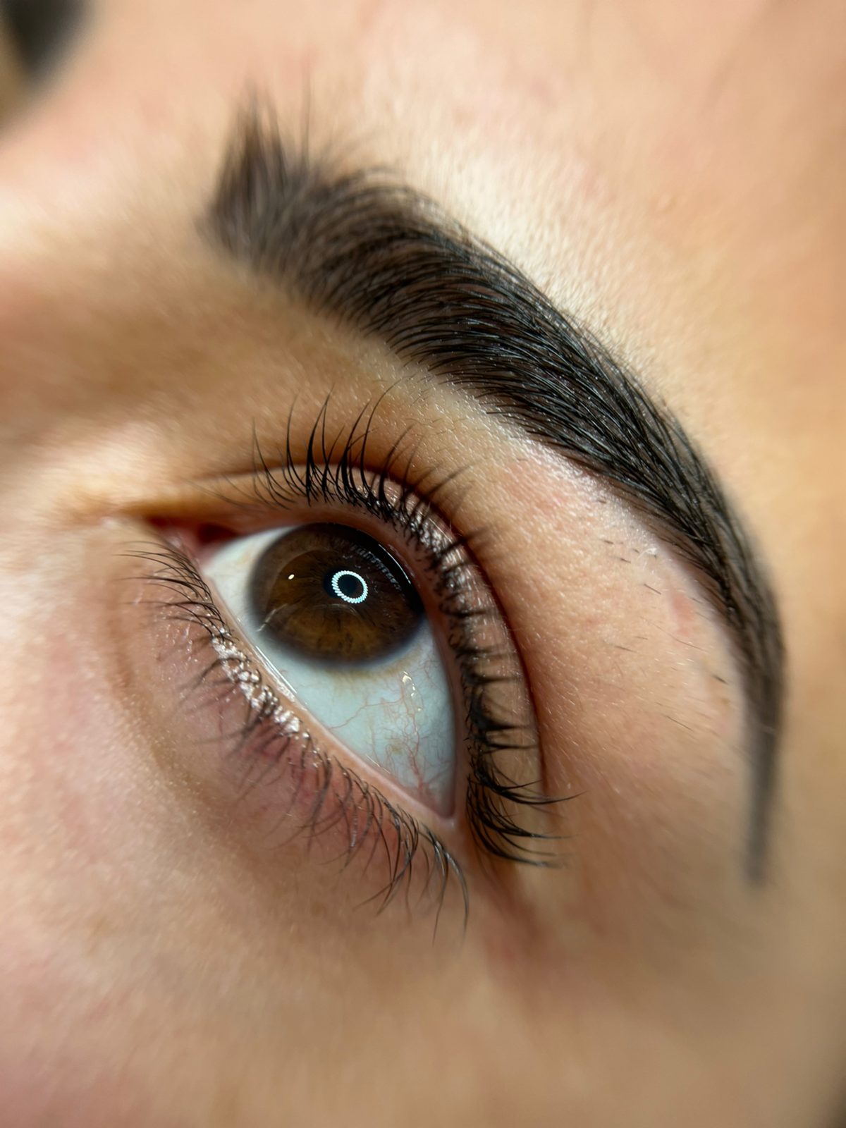 Powder brows and lashes — close-up