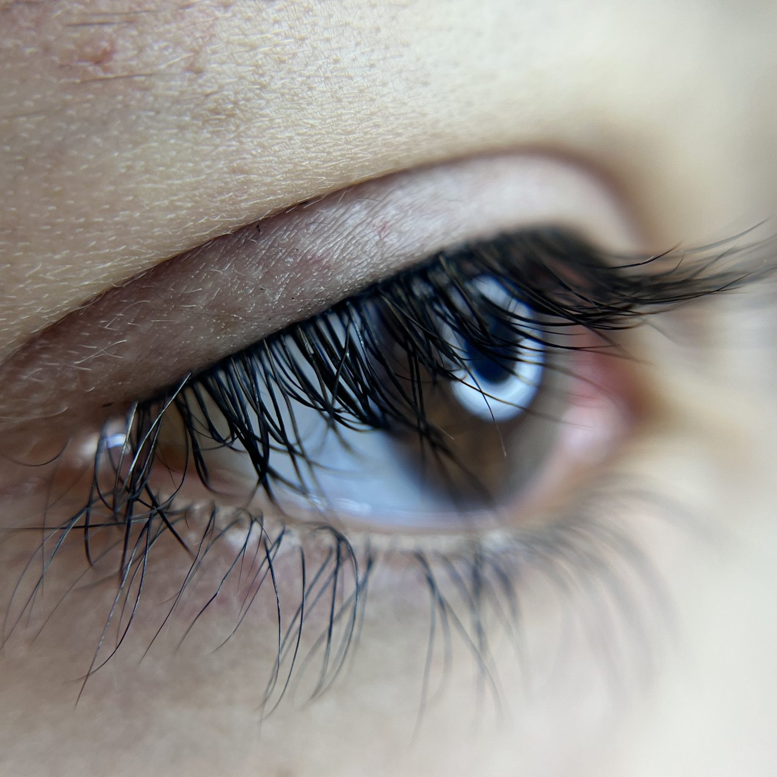 Lash lift result — close-up