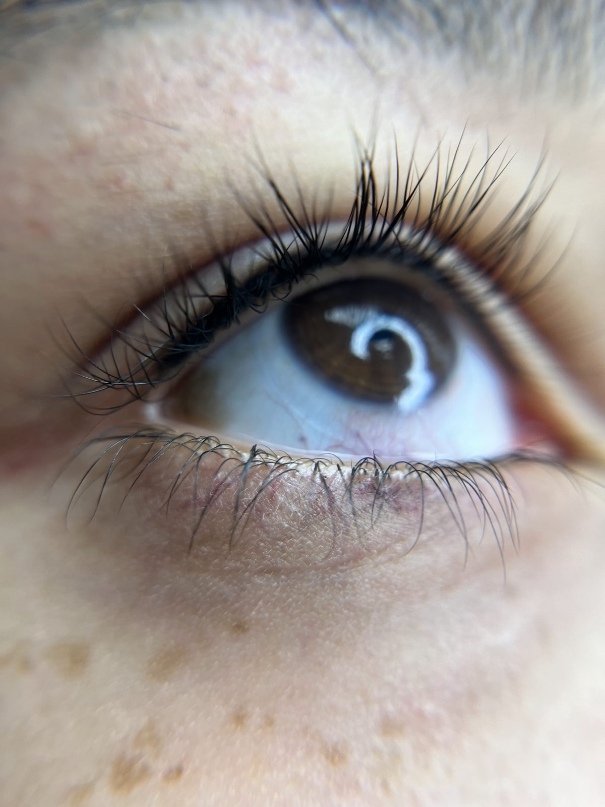 Lash lift result — close-up